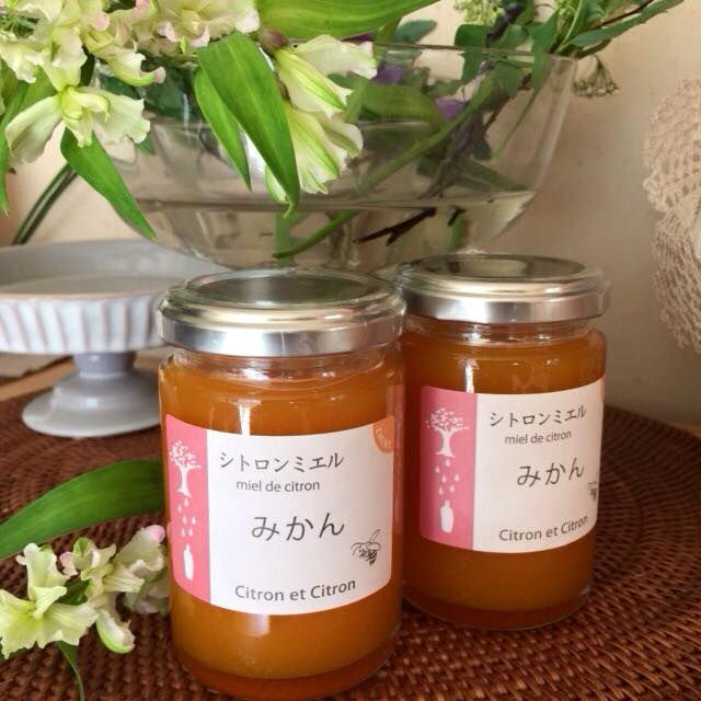 10390215_908101209211736_816586210676774654_n